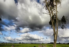 imtoken过期怎么办